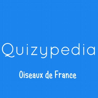 Quizz Oiseaux de France